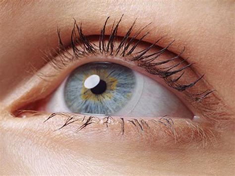 What Does The Lens Of Eye Do Eye Lens Anatomy Medical School Education