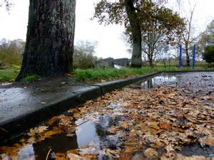 Fallen Leaves In Water Cranny © Kenneth Allen Geograph Ireland