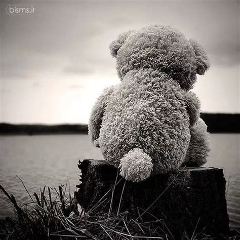 Loneliness Teddy Bear Pictures Bear Pictures Bear Wallpaper