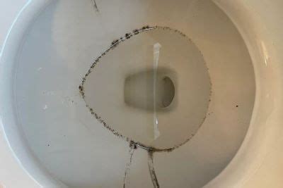 Black Sediment In Toilet Bowl Asking List