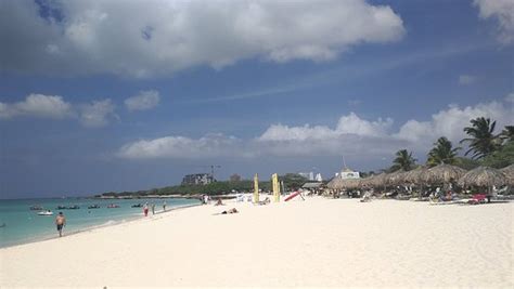 Eagle Beach Palm Eagle Beach Aruba Top Tips Before You Go With
