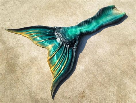 Mertailor Silicone Mermaid Tails Mermaid Tails Realistic Mermaid Tails