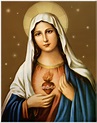 Mary - Caring Catholic Convert