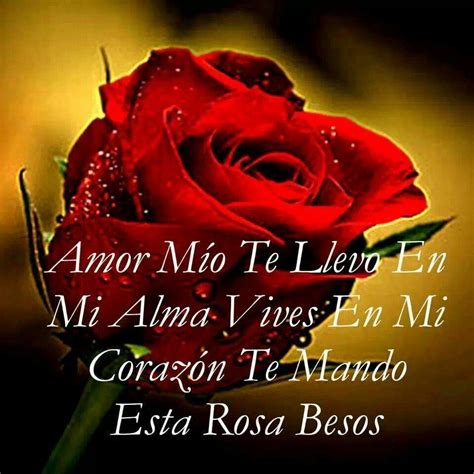 Imagen De Una Rosa Con Mensaje De Amor ∞ Sólo Imagenes De Amor ∞