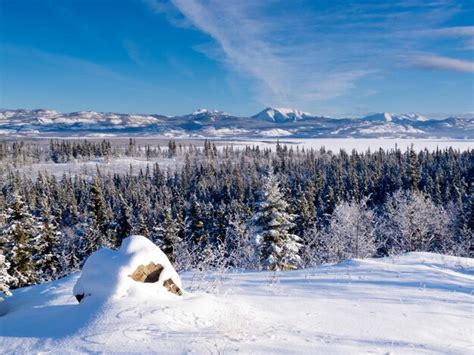 Premium Photo Scenic Winter At Frozen Lake Laberge Yukon Canada