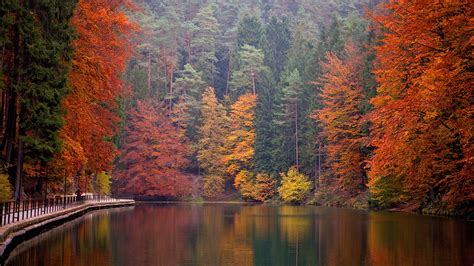Photos Germany Saxon Switzerland National Park Autumn 1920x1080