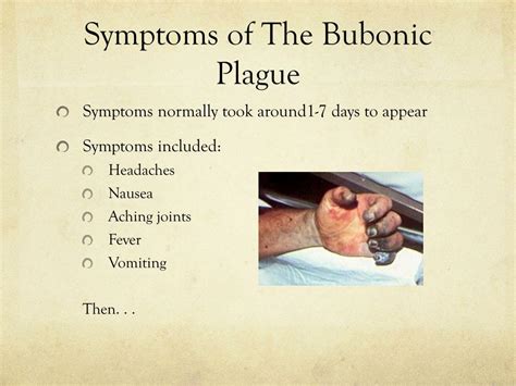 Ppt The Plague 1348 Powerpoint Presentation Free Download Id2095925