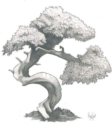 Tree drawing, Tree sketches, Bonsai art