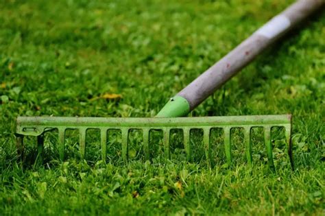 How To Use A Landscape Rake Full Guide On Most Popular Rake Types