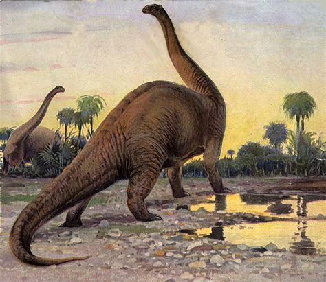 Why Do We Love The Brontosaurus The New Yorker