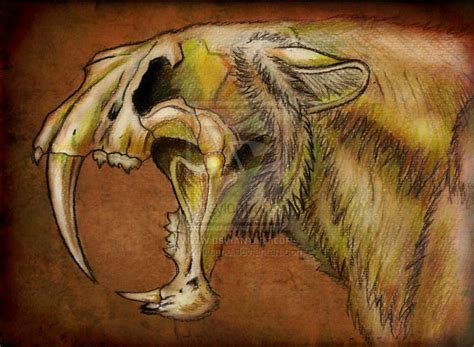 Go Back Gallery For Saber Tooth Tiger Wallpaper Hd Sabertooth