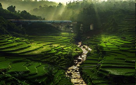 Nature Landscape Rice Paddy River Sun Rays Field Terraces Train