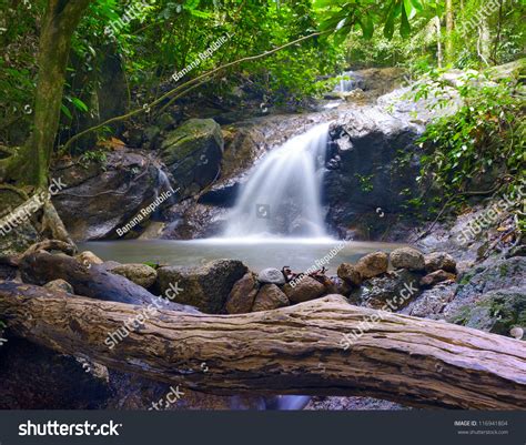 Forest Photography Background Beautiful Waterfall Stream