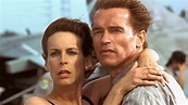 The Ending Of True Lies Explained