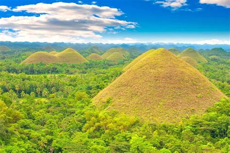 The Chocolate Hills Bohol Island Attractions Go Guides