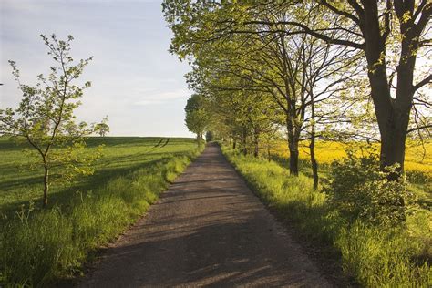 The Polish Roads Rural · Free Photo On Pixabay