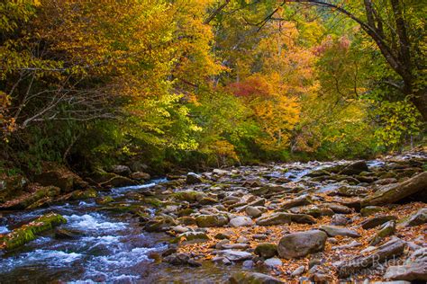 Fall Colors And Foliage Guide 2023 Blue Ridge Mountain Life