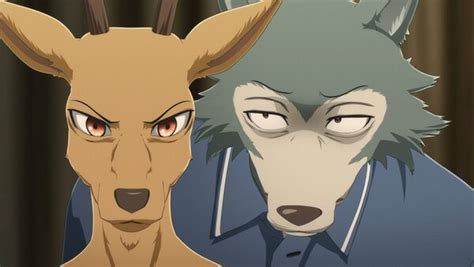 Beastars Episode 8 Info And Links Where To Watch