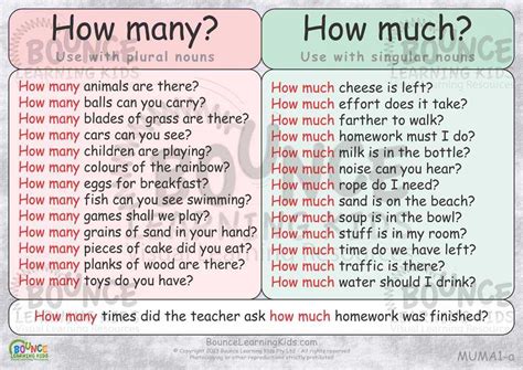 Basic English How Much And How Many