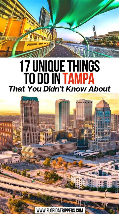 20 Best Things To Do In Tampa You Shouldn T Miss Artofit