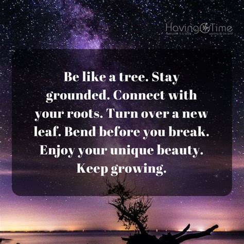 Be Like A Tree Stay Grounded Connect With Your Roots