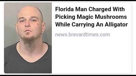 See, rate and share the best florida man memes, gifs and funny pics. The best Florida Man memes to keep you laughing in 2020 ...