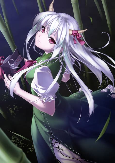 Video Games Touhou Dress Bamboo Horns Long Hair Outdoors Red Eyes