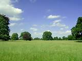 Landscape Backgrounds