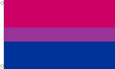 Archive for all the pride flags. Bi Pride Flag 2ft x 3ft Printed Polyester