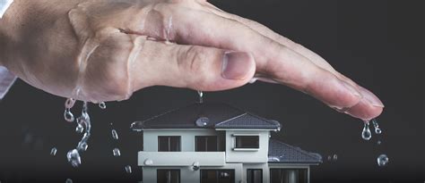 Common Causes Behind Roof Leaks And Tips To Avoid Them Zameen Blog