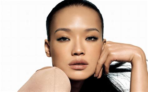 Browse by popularity, category or alphabetical archive of freely downloadable fonts. HD Shu Qi with natural makeup Wallpaper | Download Free - 147696