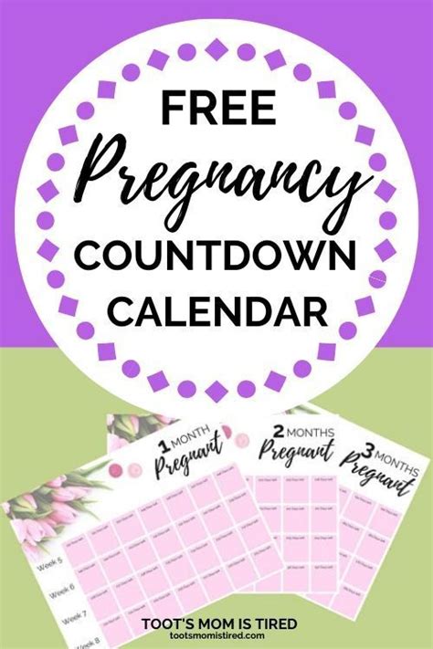 Printable Pregnancy Calendar Week By Week Month Calendar Printable