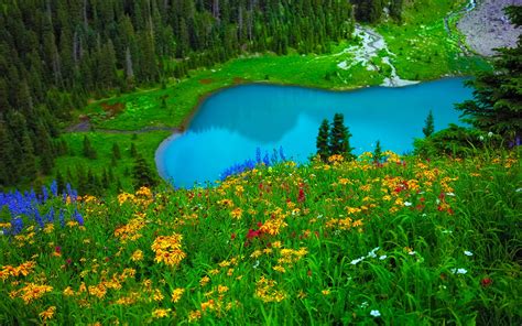 Flowers And Turquoise Lake