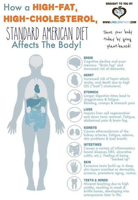 Pin By Lulu Baassiri On Diets Standard American Diet What Causes