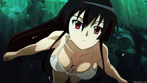 Wallpaper Illustration Anime Girls Black Hair Akame Ga Kill