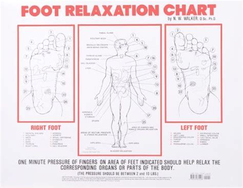 Foot Relaxation Chart Norman Walker 9781570672408 Books Health And Nutrition