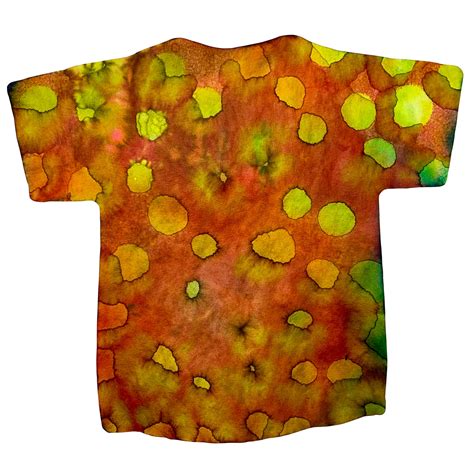 Colour Diffusing T Shirts The Freckled Frog Carson Dellosa Popular Playthings Roylco