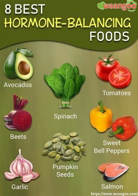 Foods That Can Help Balance Your Hormones Naturally Foods To