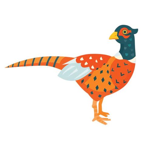 Pheasant Cartoon Illustrations Royalty Free Vector Graphics And Clip Art