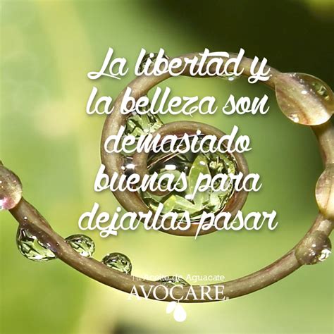 Buen Inicio De Semana Ser Feliz Feliz