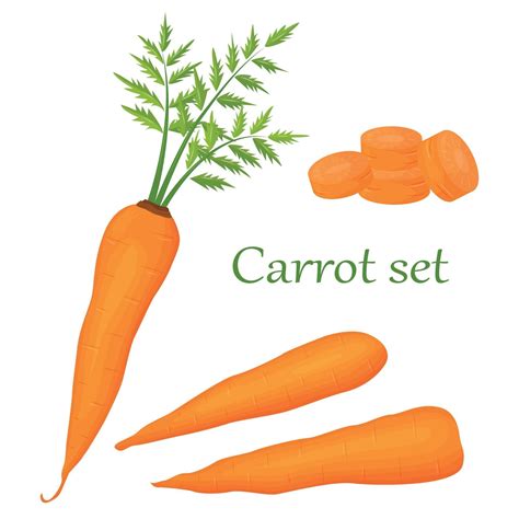 Carrot Set Of Cartoon Orange Carrot Isolated On A White Background