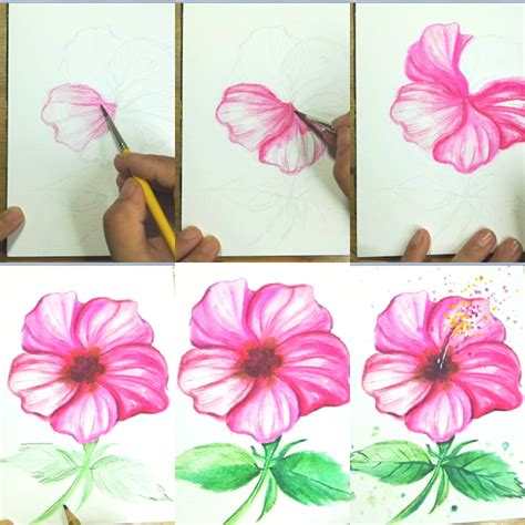 How To Draw Watercolor And Water Soluble Color Pencil Hibiscus Flower