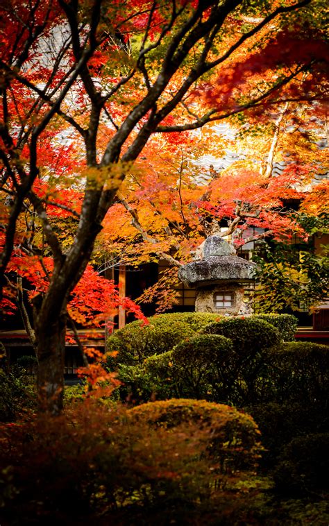 We hope you enjoy our growing collection of hd images to use as a background or home screen for your smartphone or computer. Japanese Garden Desktop Wallpaper ·① WallpaperTag