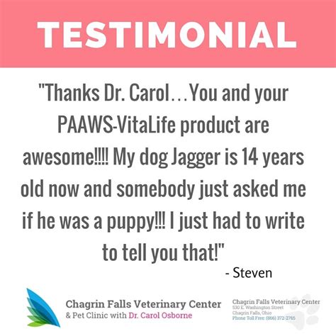 Laser surgery in chagrin valley oh. Pin by Chagrin Falls Pet Clinic on Dr. Carol's Pet Success ...
