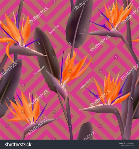 Bird Paradise Tropical Flower Vector Seamless Stock Vector Royalty