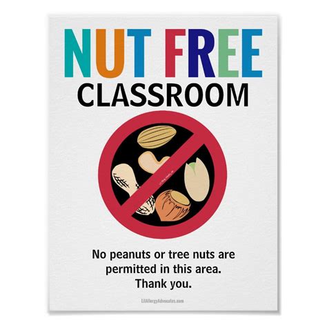 Nut Free Area Classroom Customized Allergy School Poster Zazzle