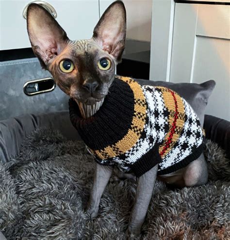 Striped Classic Sphynx Cat Sweater