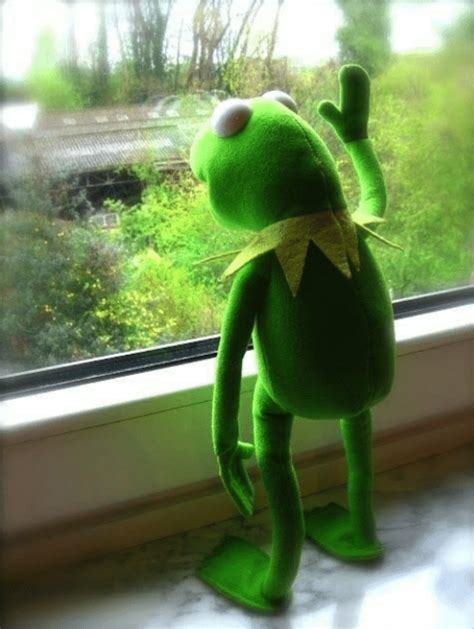 Sad Kermit Blank Template Imgflip