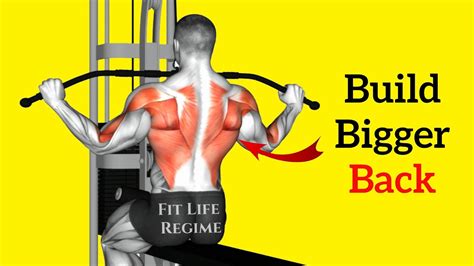 Best Workouts To Build Big Back In 2022 7 Must Do Exercises Youtube