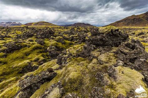 Berserkjahraun Lava Field In Iceland Arctic Adventures
